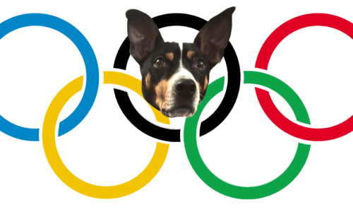 Olympic_rings_with_Joey Head